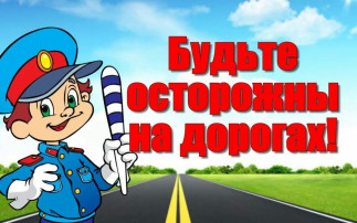 Неделя правил дорожного движения Неделя правил дорожного движения.
