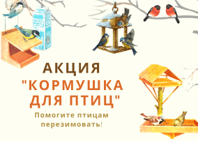 Акция "Кормушка для птиц" Акция "Кормушка для птиц".