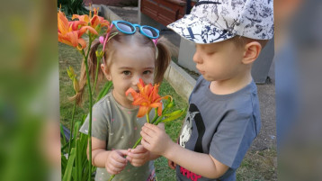 Наши любимые цветочки Наши любимые цветочки.